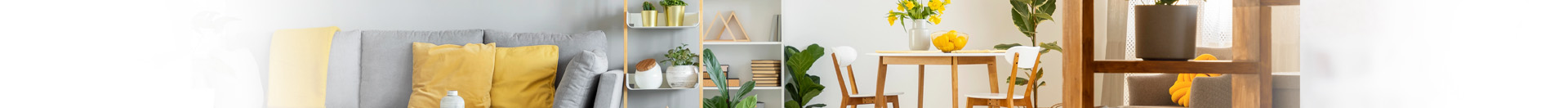 home interior background